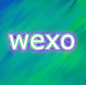 Gracz komputerowy - wexo