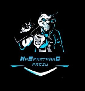 Gracz komputerowy - NSG SNAX