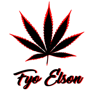 Gracz FyoElson