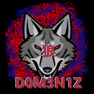 Gracz D0M3N1Z_YT