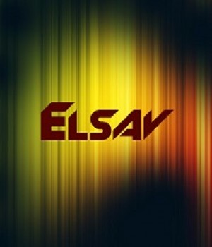 Gracz elsav