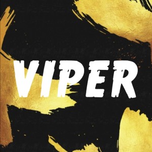 Gracz komputerowy - VIPER0021