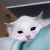Gracz hOwly