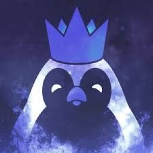 Gracz PINGuin