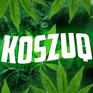 Gracz komputerowy - Koszuq