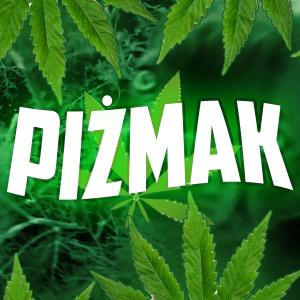 Gracz Pizmaak