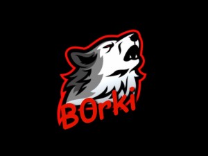 Gracz B0rki
