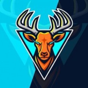 Gracz komputerowy - DeeR112
