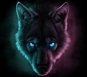 Gracz SamotnyWilk_YT