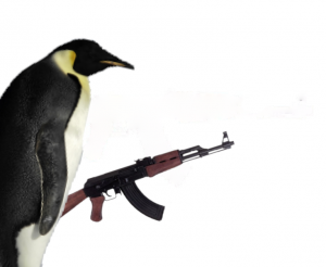 Gracz Penguin't