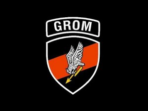 Gracz FasteR