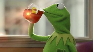 Gracz es4win Kermit