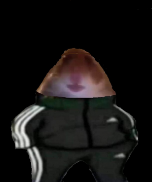 Gracz Snaqb