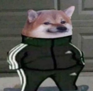 Gracz HIGRO