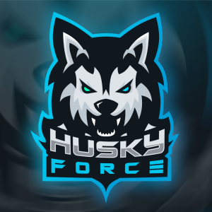 Gracz Husky Force
