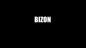 Gracz Bizon