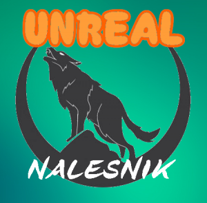 Gracz NaLeSn11Kk