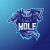 Gracz mlodywolf