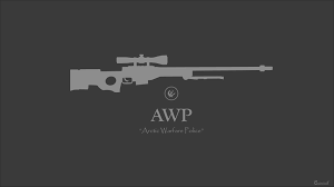 Gracz awp_ACE