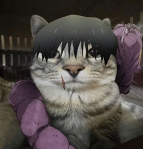 Gracz 77kirito_