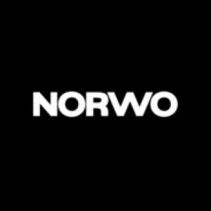 Gracz komputerowy - Norwo 